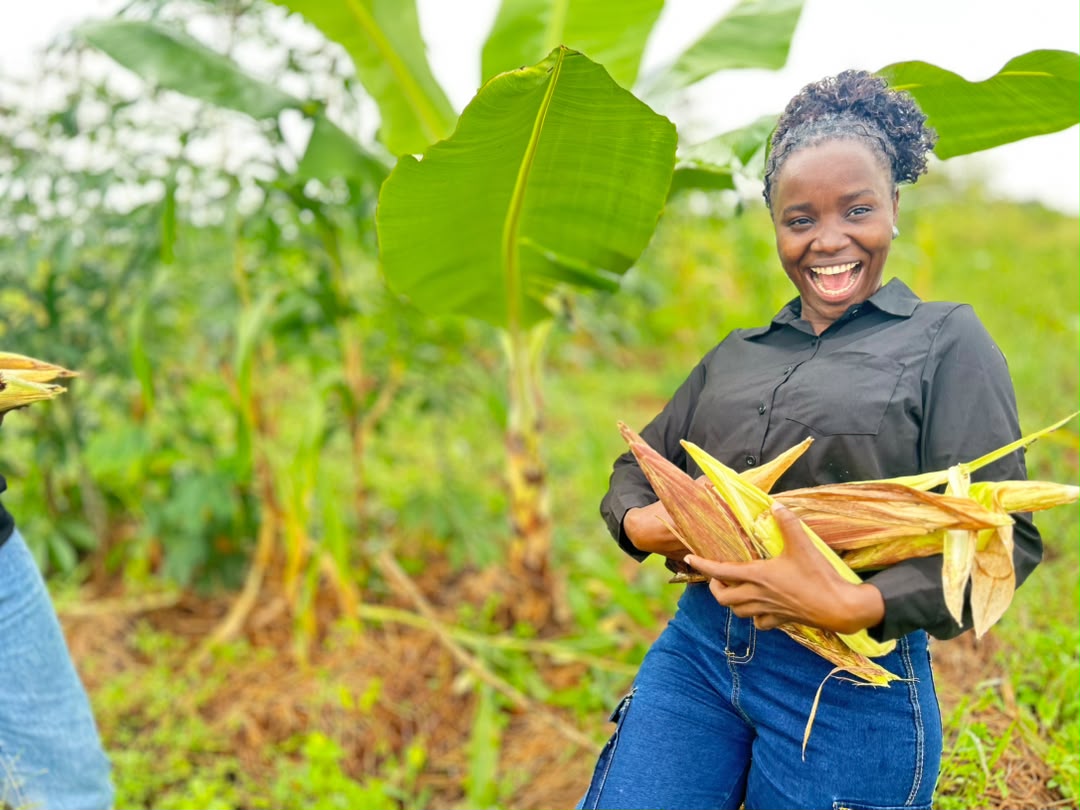 Agroforestry season is coming