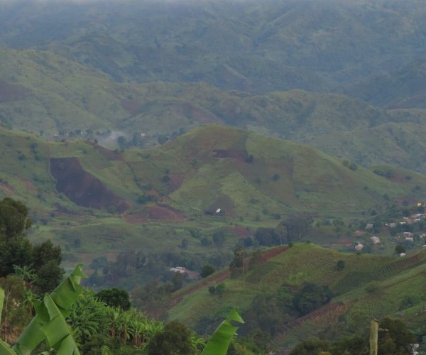 1 A view of untouched landscape, only touched by indiginous knowledge on agriculture A view of untouched landscape, only touched by indiginous knowledge on agriculture
