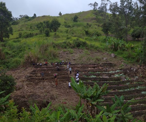 2 In this picture you can see how the how the famr from far cultivated for the first time with foodforest practice. In this picture you can see how the how the famr from far cultivated for the first time with foodforest practice.
